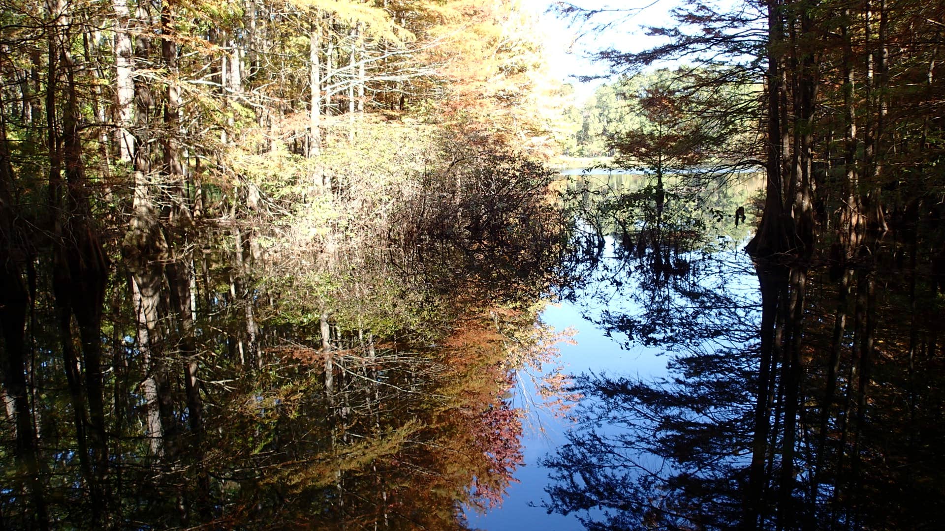 Stuart Lake NF Campground Pineville, LA