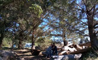 Casandra M.'s photo at Cape Disappointment State Park Campground near Ilwaco, WA
