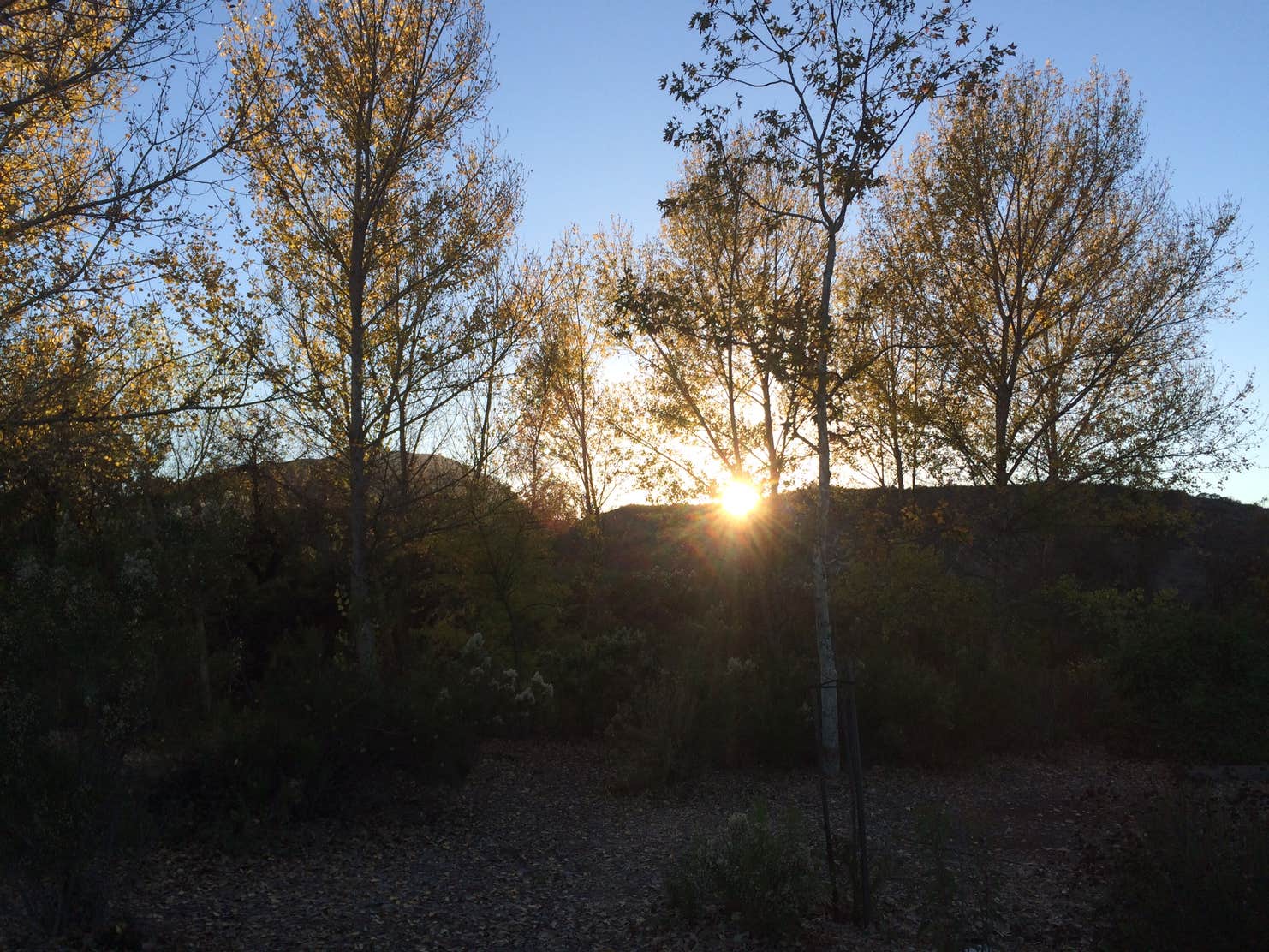 Kumeyaay Lake Campground Camping The Dyrt