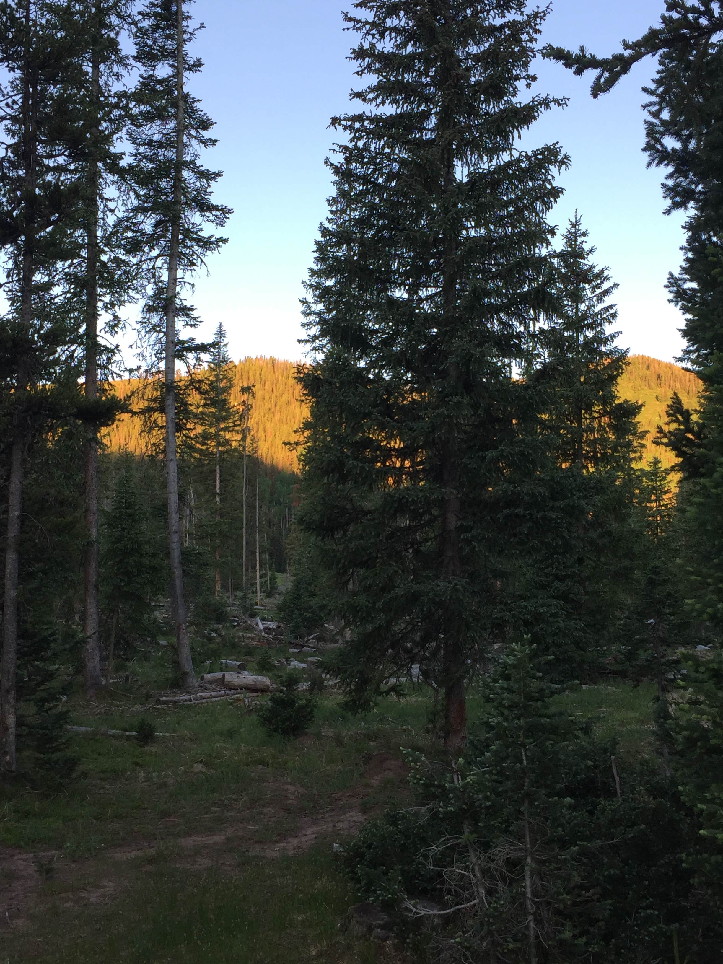 Camper-submitted photo at Routt National Forest Hahns Peak Lake Campground near Steamboat Springs, CO