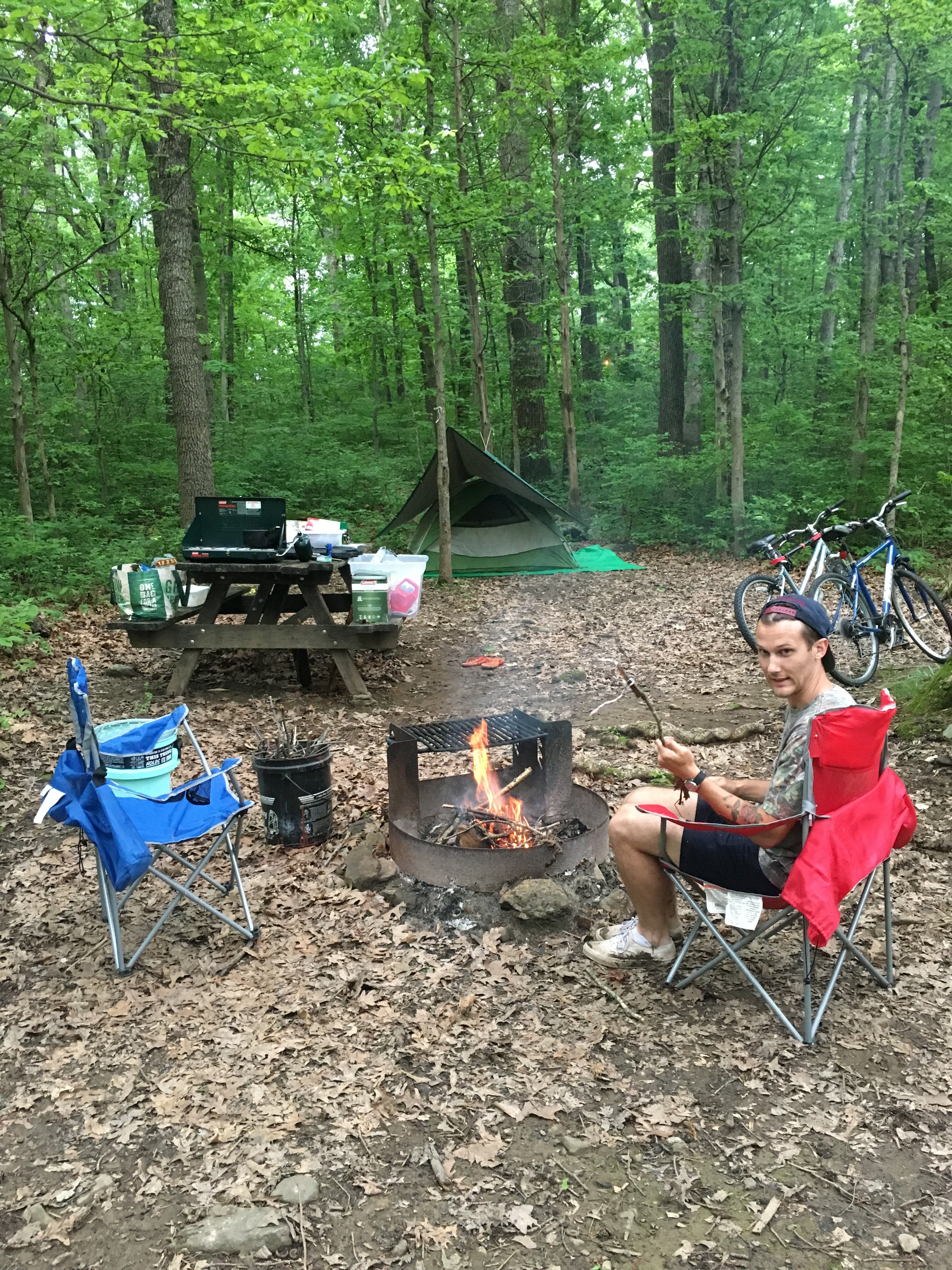 Camper submitted image from Gifford Pinchot State Park Campground - 5