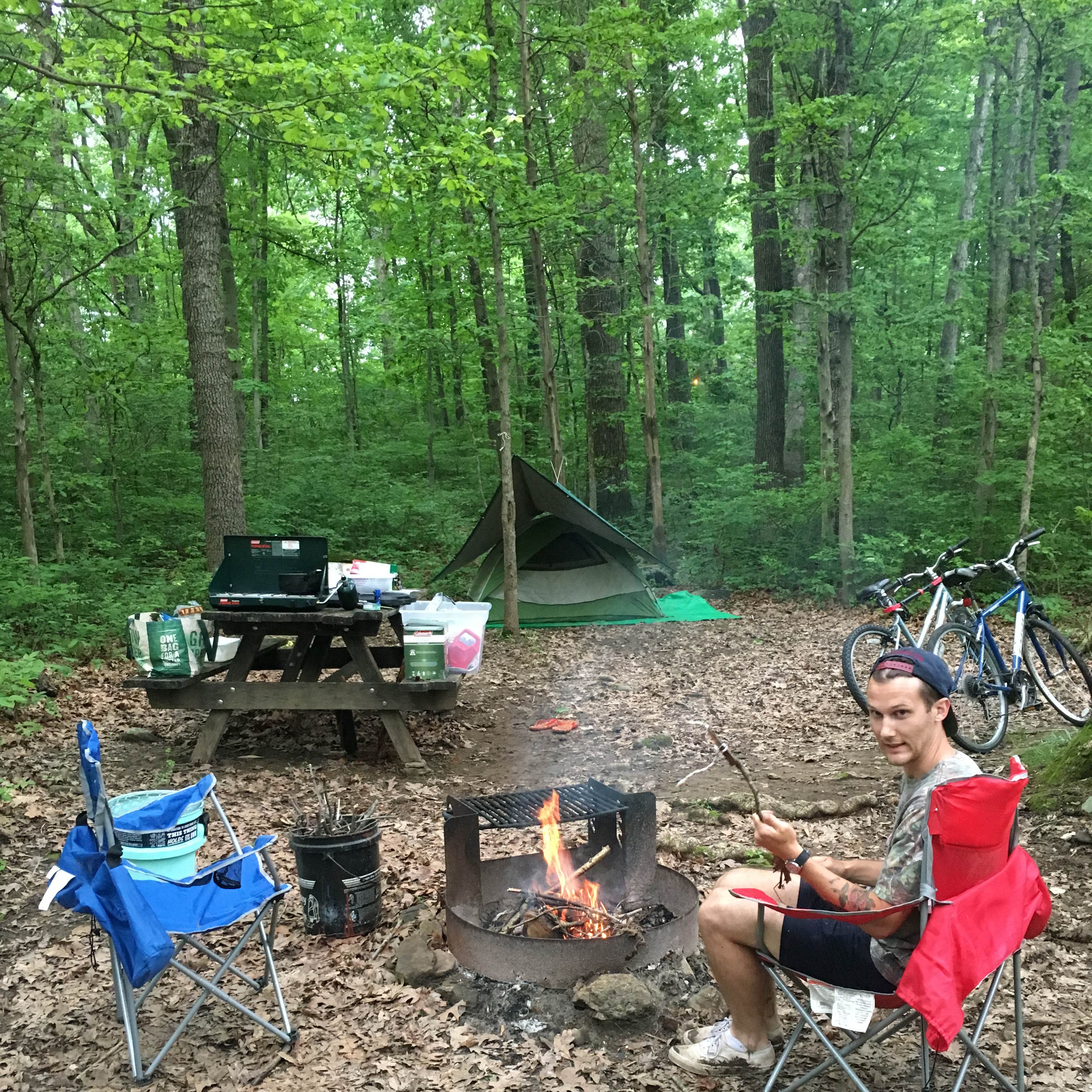 Gifford Pinchot State Park Camping The Dyrt