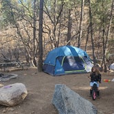 Review photo of Wild Cow Springs Campground by Caitlin B., April 22, 2021