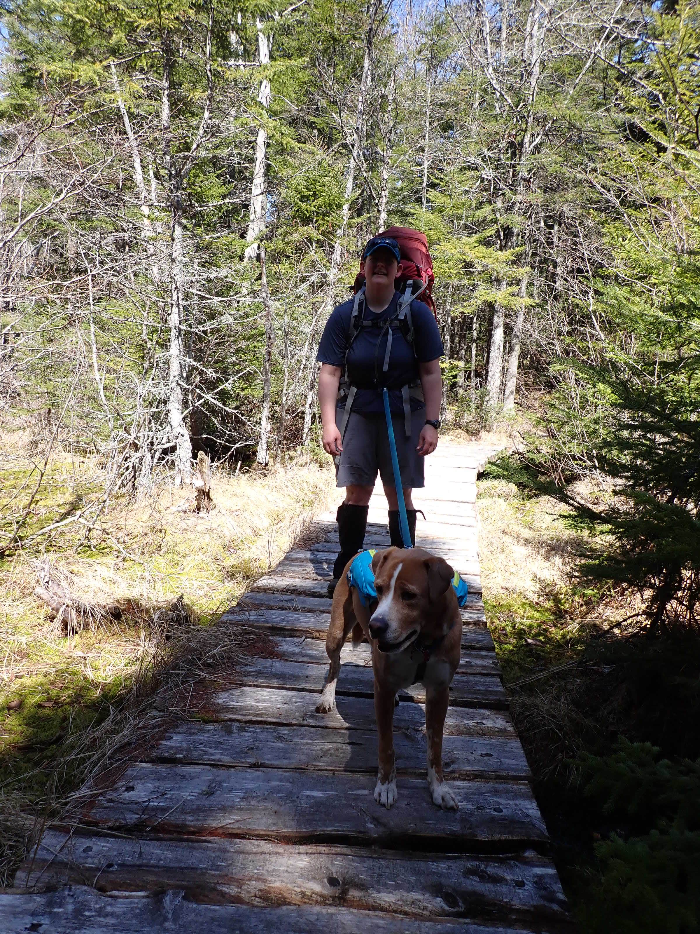 Sarah C.'s photo of camping with pets at Cutler Coast Public Land — Cutler Coast Ecological Reserve near Pembroke, ME