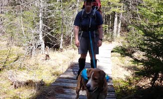 Sarah C.'s photo of camping with pets at Cutler Coast Public Land — Cutler Coast Ecological Reserve in Maine