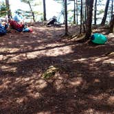 Review photo of Cutler Coast Public Land by Sarah C., April 22, 2021