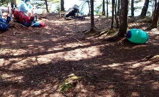 Sarah C.'s photo at Cutler Coast Public Land — Cutler Coast Ecological Reserve in Maine