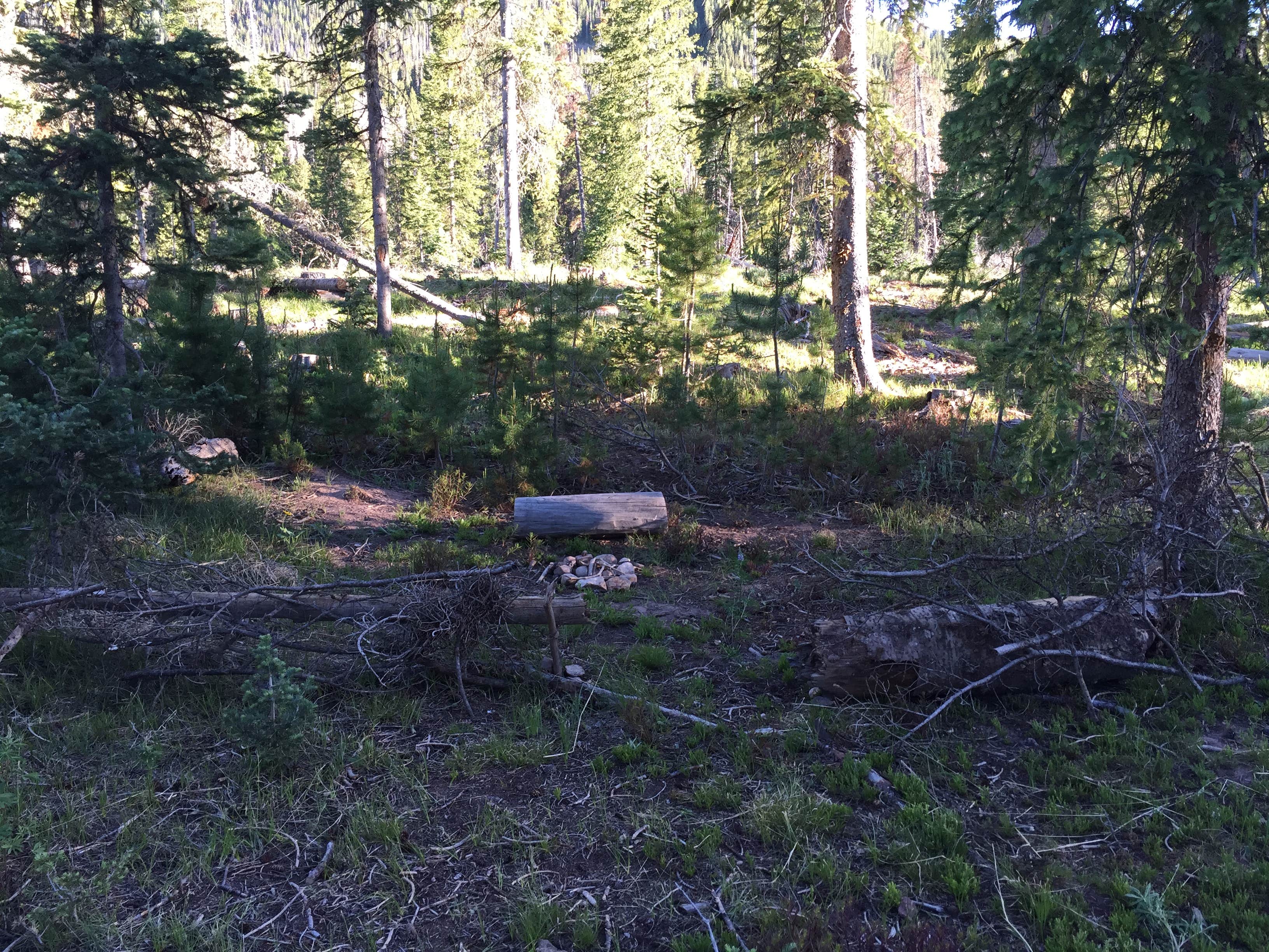 Camper-submitted photo at Routt National Forest Hahns Peak Lake Campground near Steamboat Springs, CO