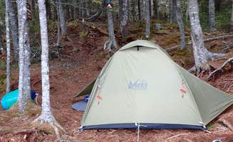 Sarah C.'s photo of a dispersed camping area at Cutler Coast Public Land — Cutler Coast Ecological Reserve in Maine