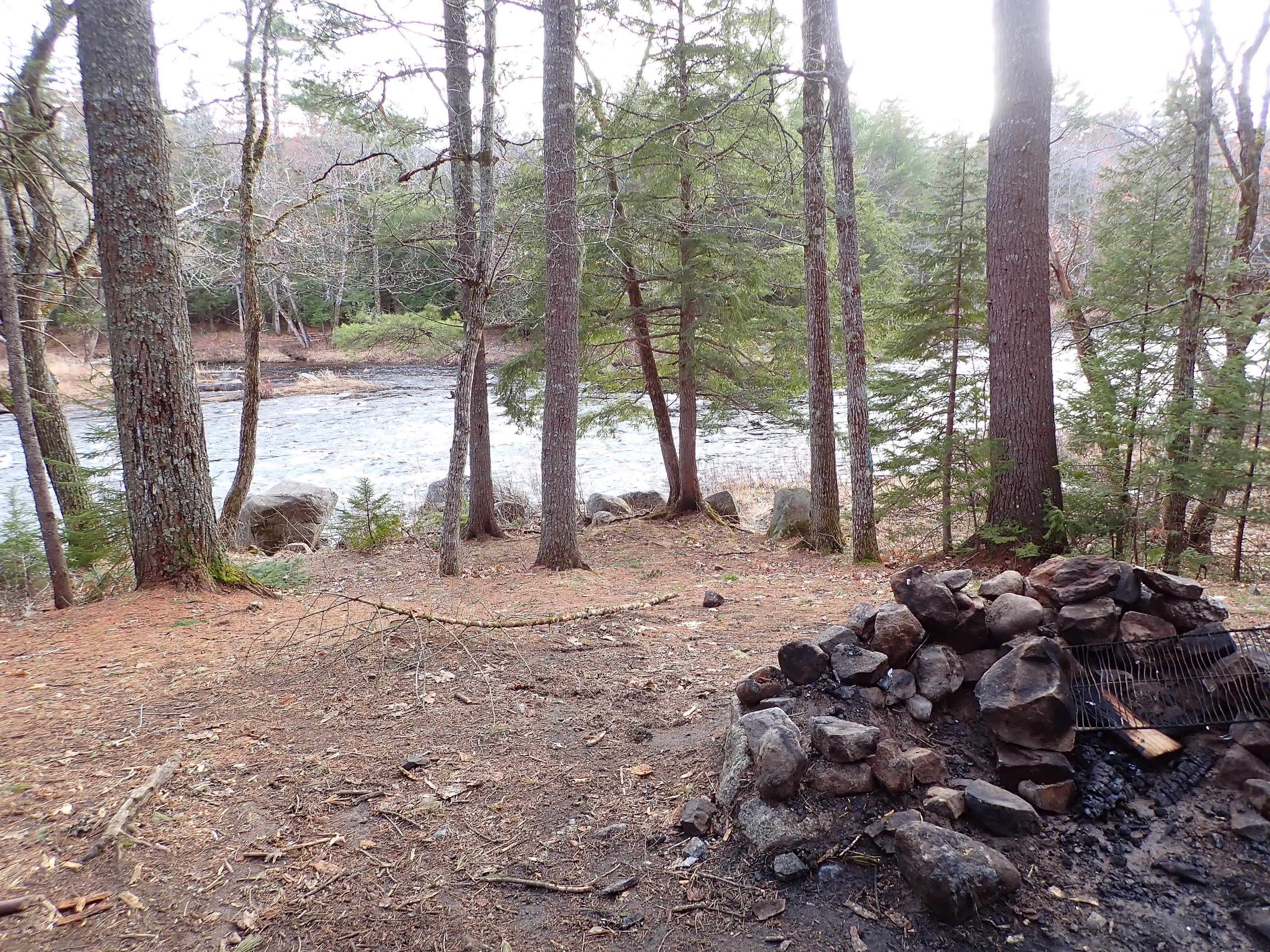 Camper submitted image from Machias Rips Campsite - 3