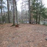 Review photo of Machias Rips Campsite by Sarah C., April 22, 2021