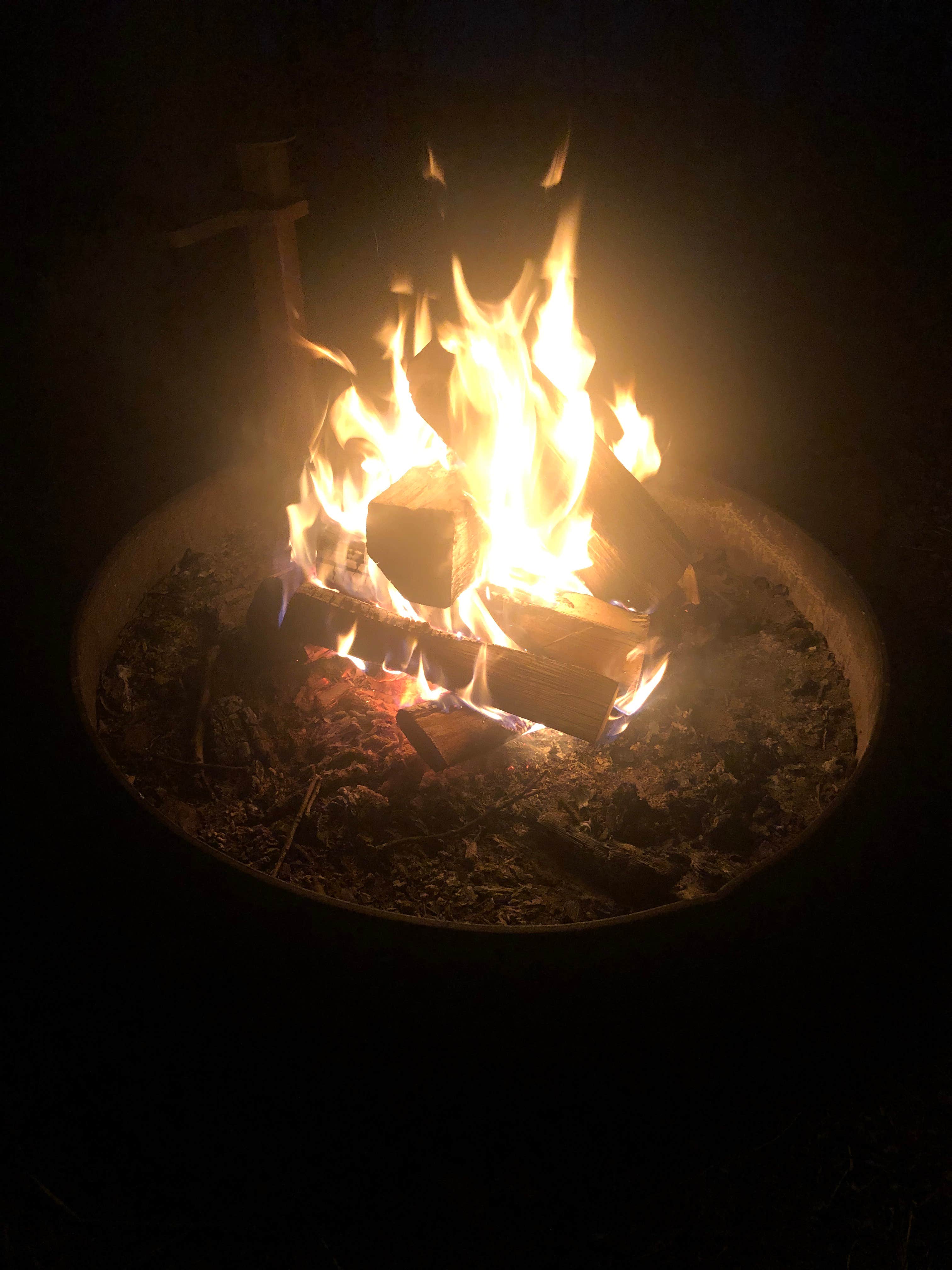 Camper submitted image from Chippewa Park - 5