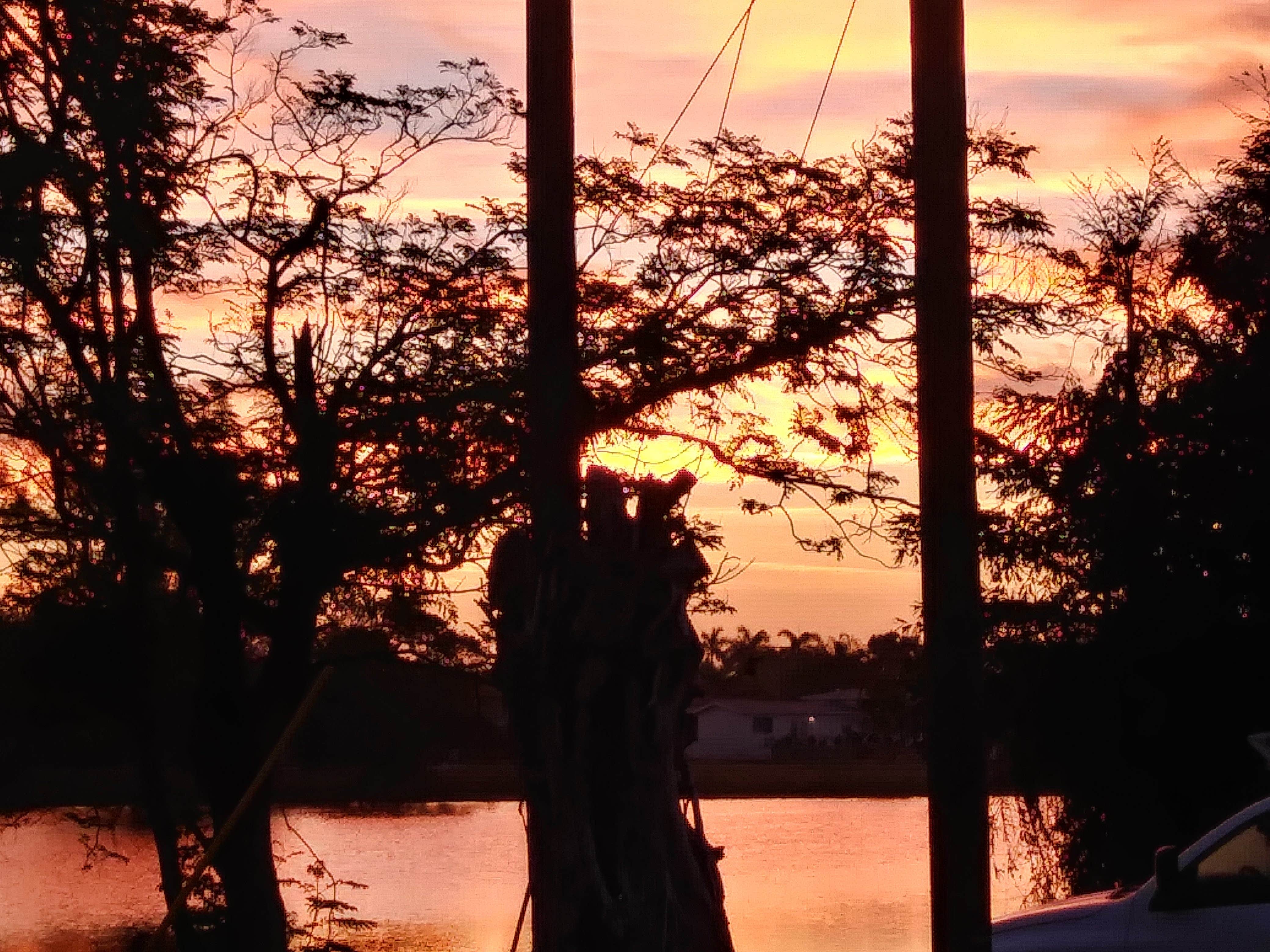 Camper-submitted photo at John Prince Park Campground near Ocean Ridge, FL