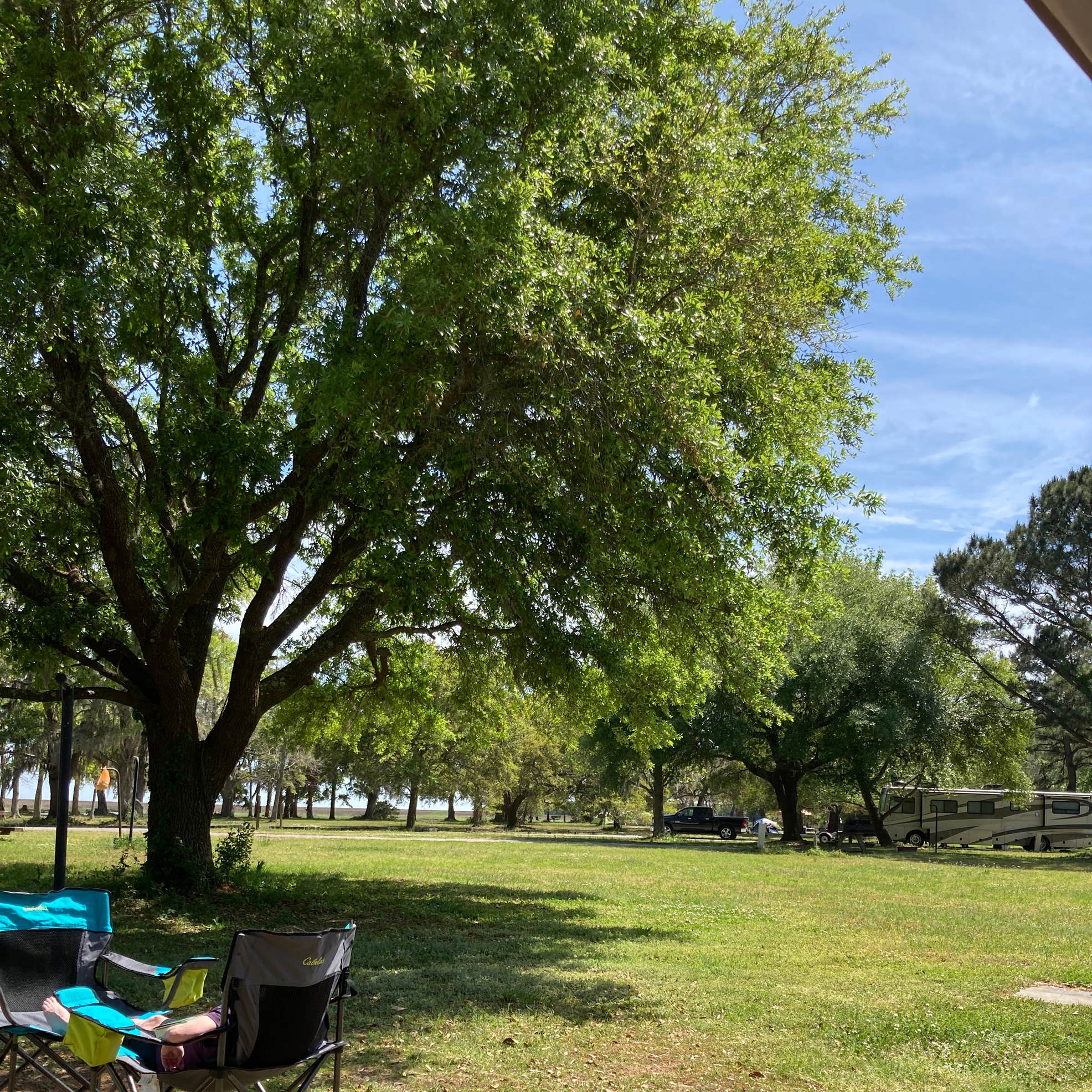 Buck Hall Recreation Area Camping | McClellanville, South Carolina