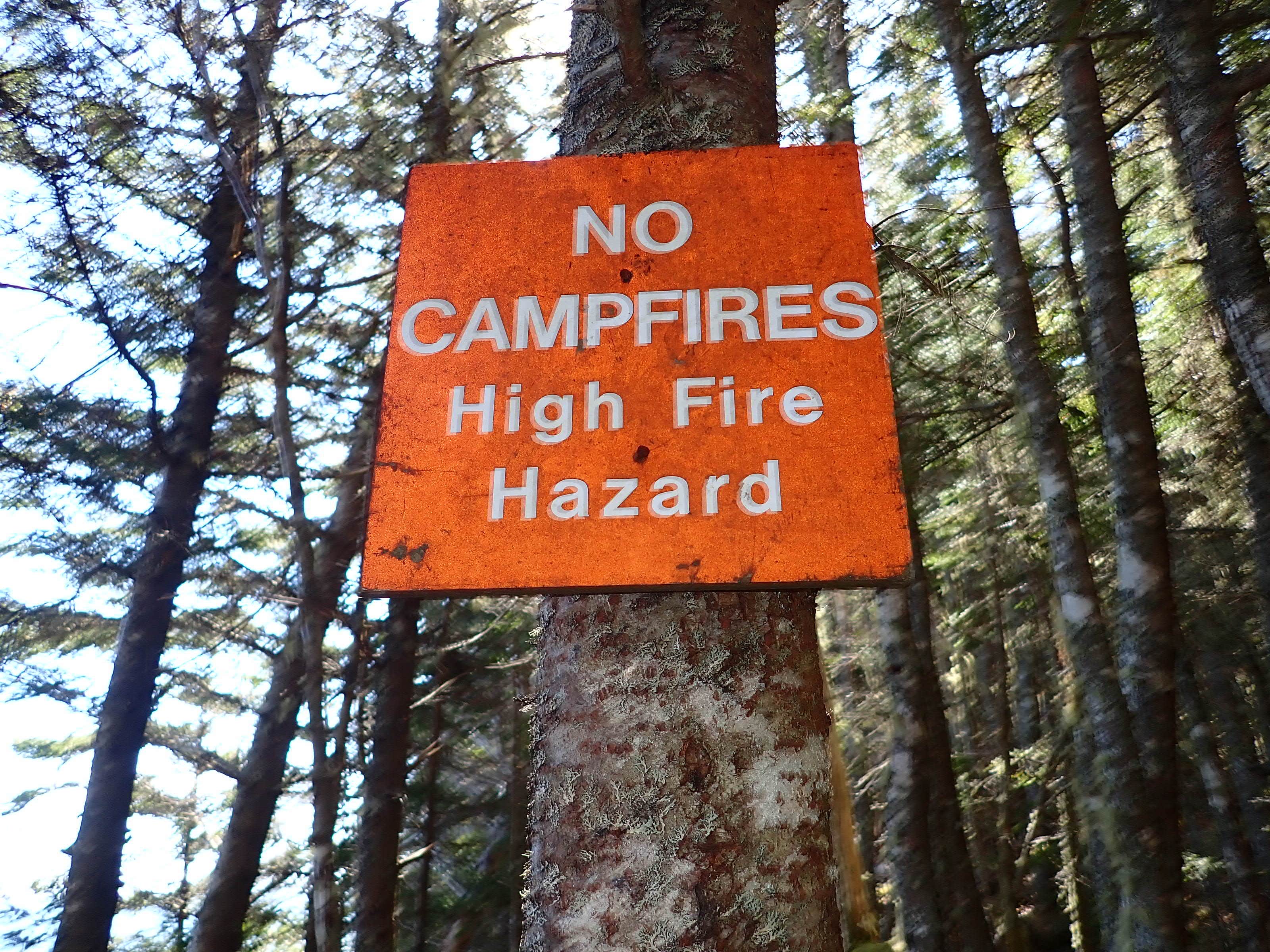 Camper submitted image from Black Point Cove — Cutler Coast Ecological Reserve - 2