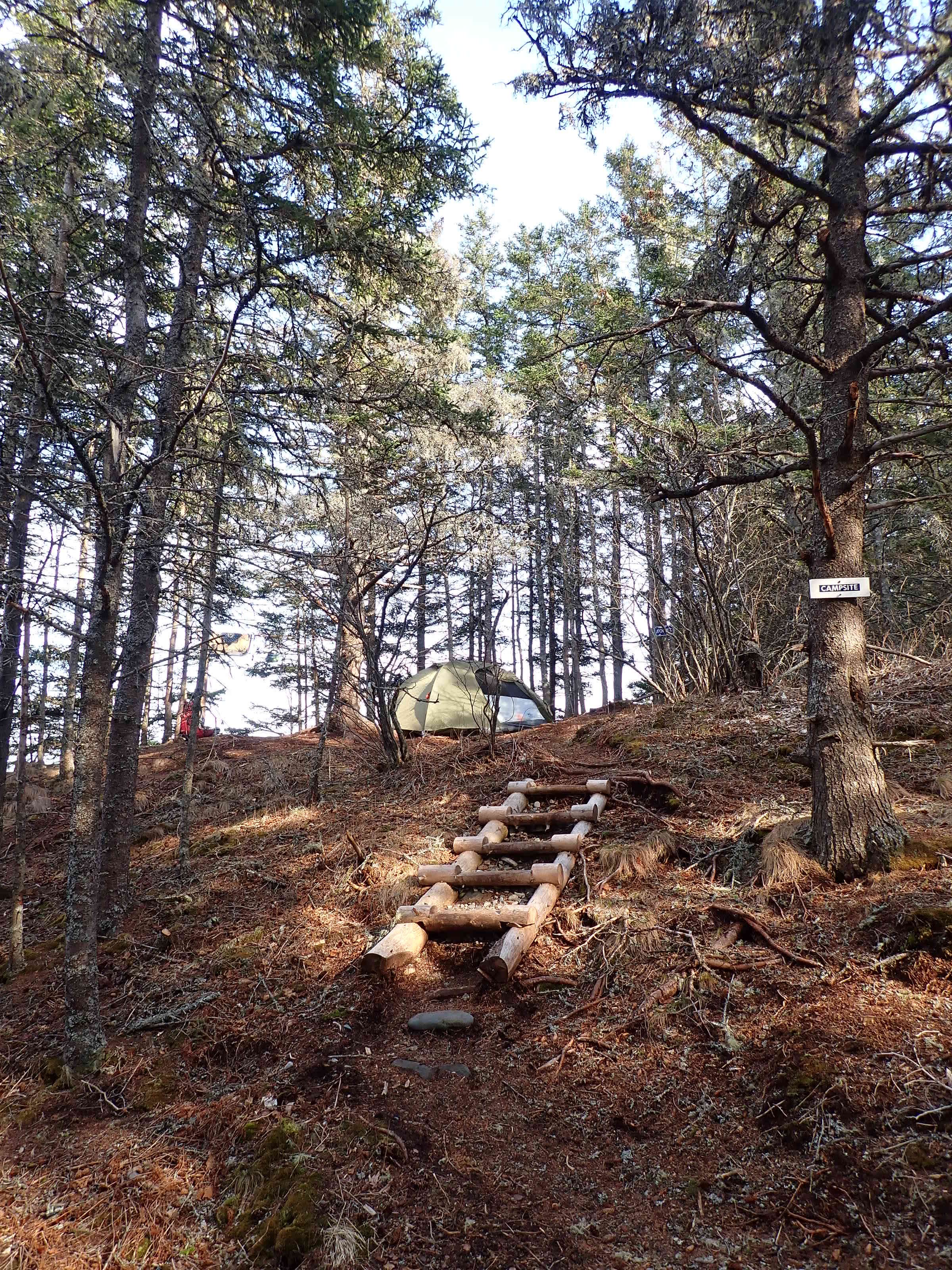 Camper-submitted photo at Black Point Cove — Cutler Coast Ecological Reserve near Eastport, ME