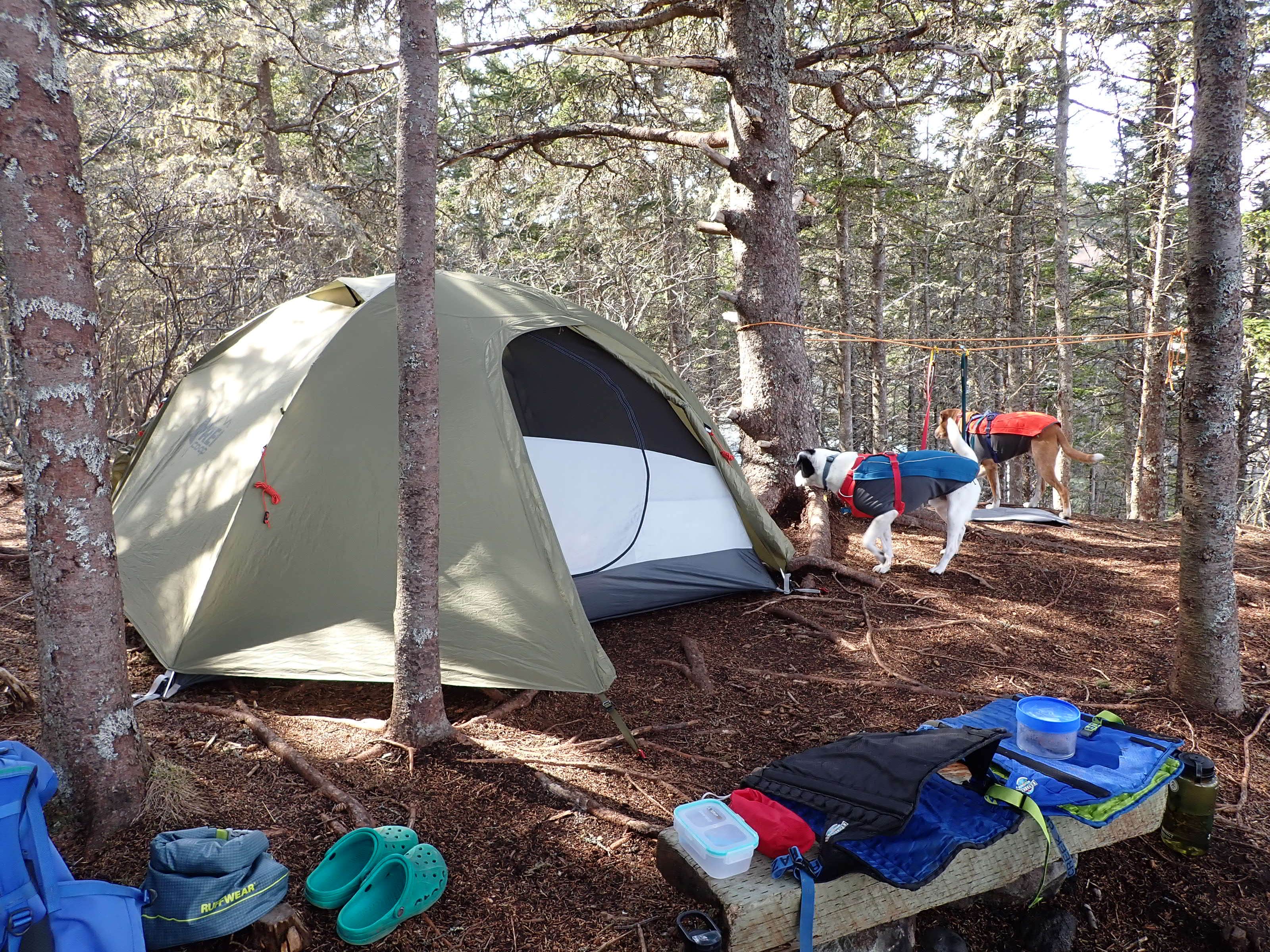 Camper submitted image from Black Point Cove — Cutler Coast Ecological Reserve - 4