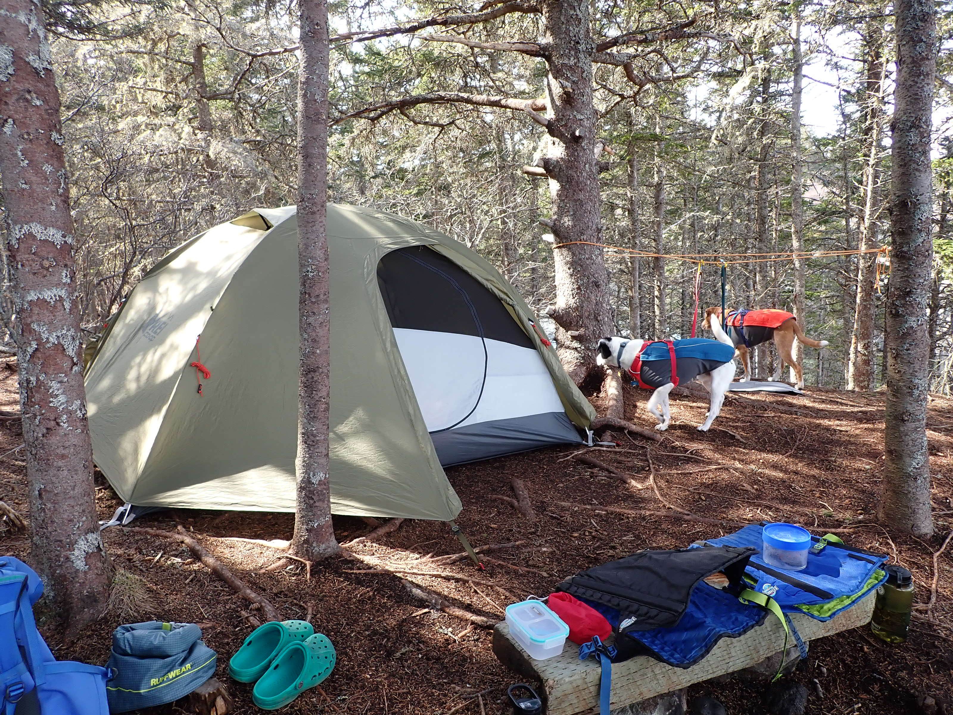 Camper submitted image from Black Point Cove- Cutler Coast - 4