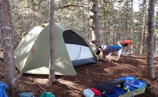Sarah C.'s photo at Black Point Cove — Cutler Coast Ecological Reserve in Maine