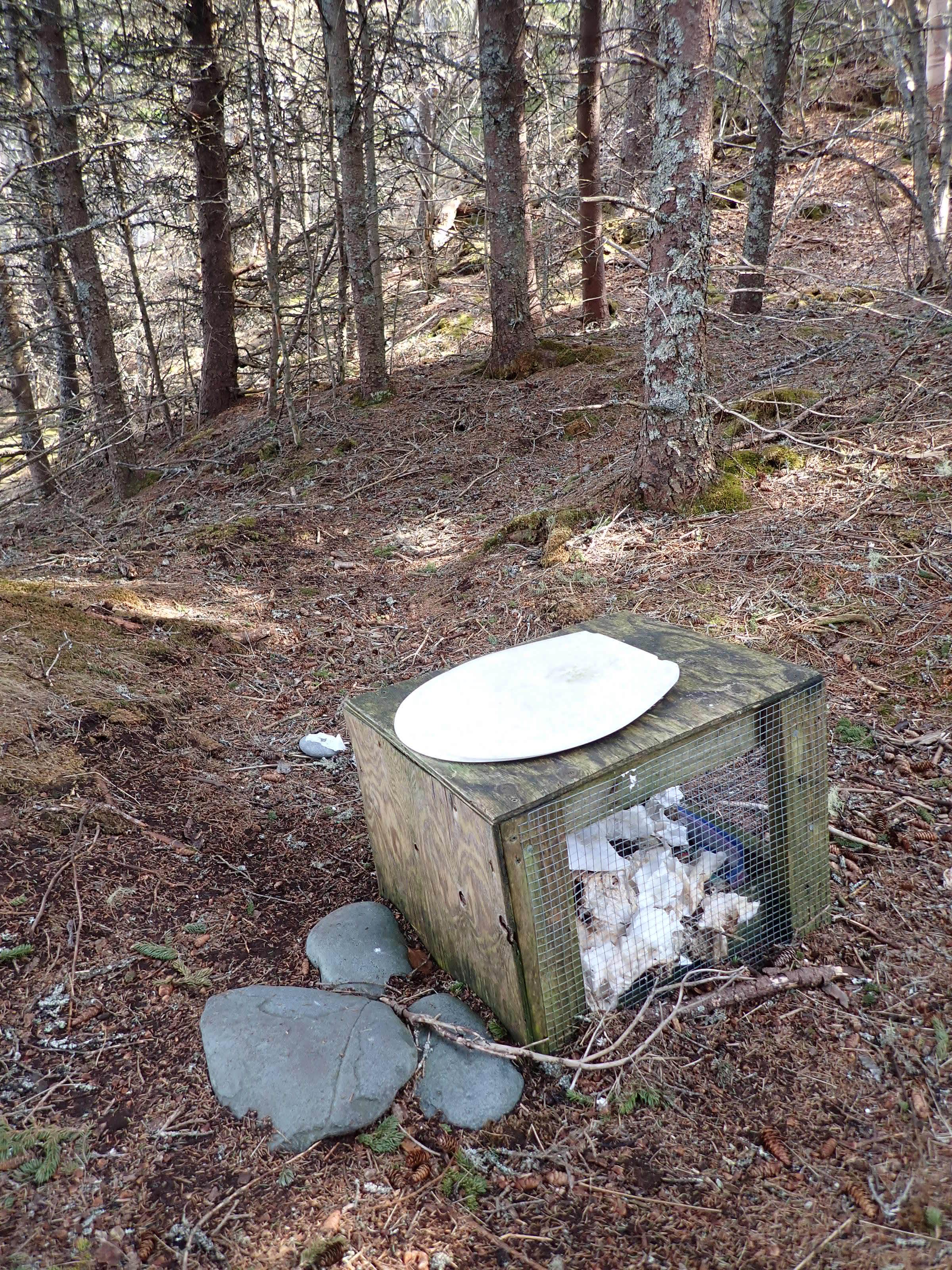 Camper-submitted photo at Black Point Cove — Cutler Coast Ecological Reserve near Eastport, ME