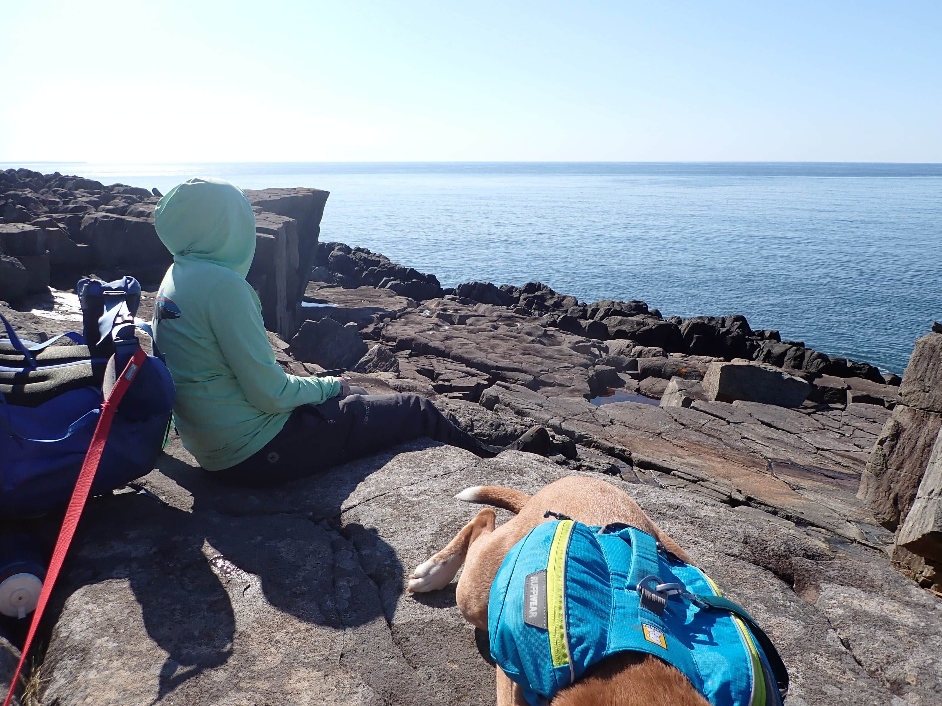 Camper-submitted photo at Black Point Cove — Cutler Coast Ecological Reserve near Eastport, ME