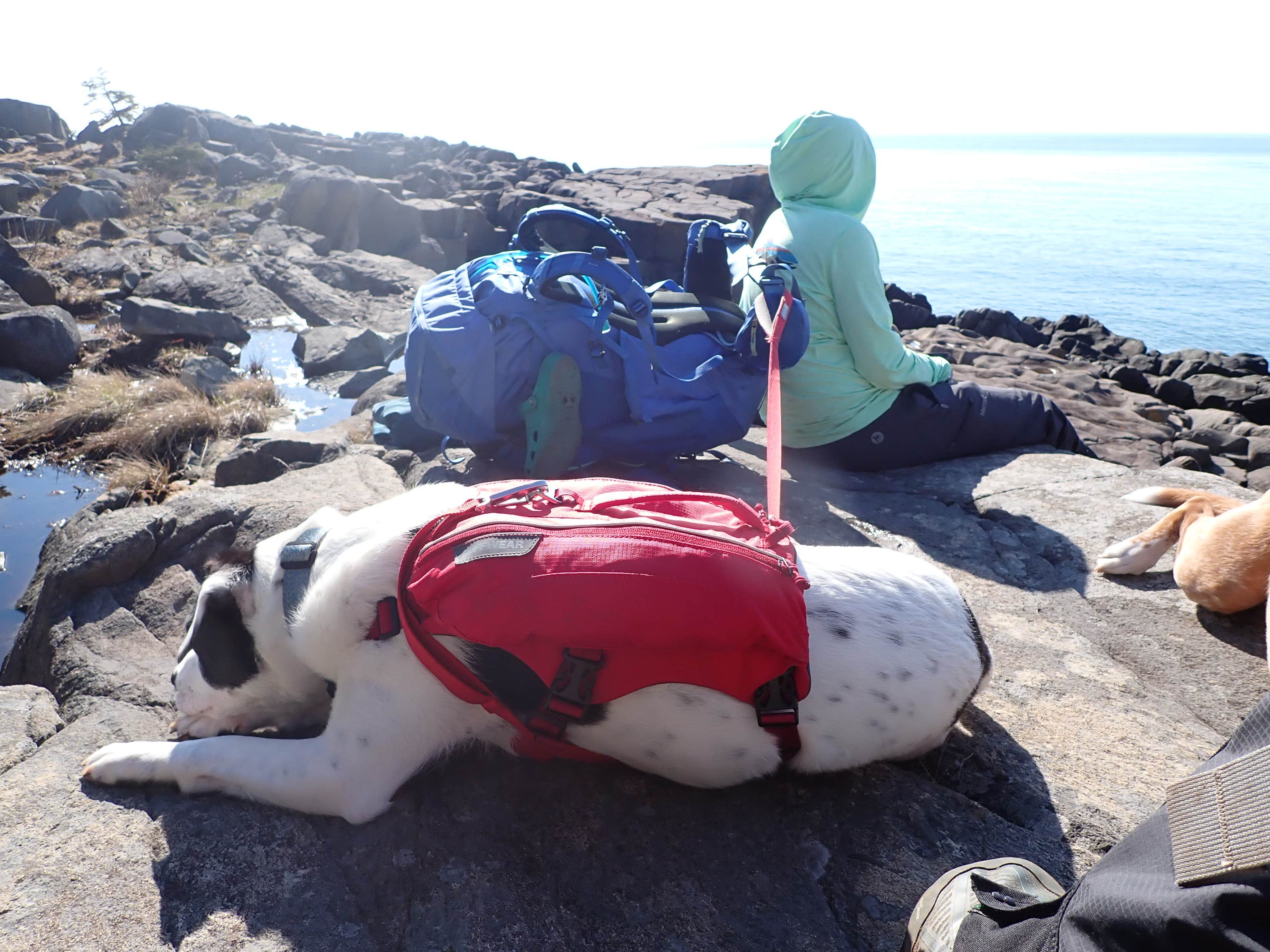 Camper submitted image from Black Point Cove- Cutler Coast - 3