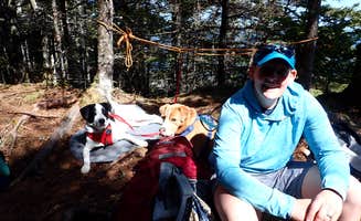 Sarah C.'s photo of camping with pets at Fair Head — Cutler Coast Ecological Reserve in Maine