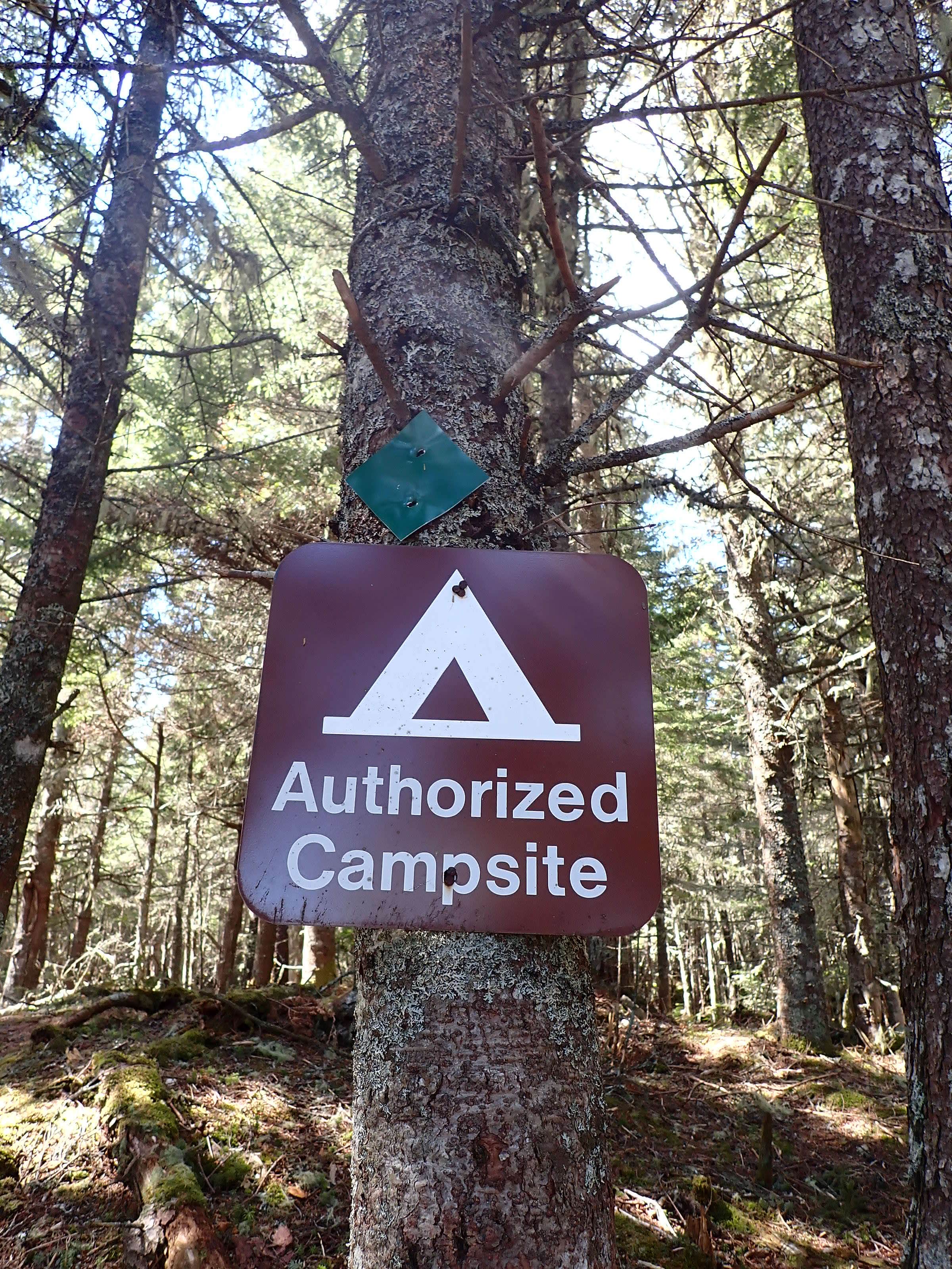 Camper-submitted photo at Fair Head — Cutler Coast Ecological Reserve near Machiasport, ME