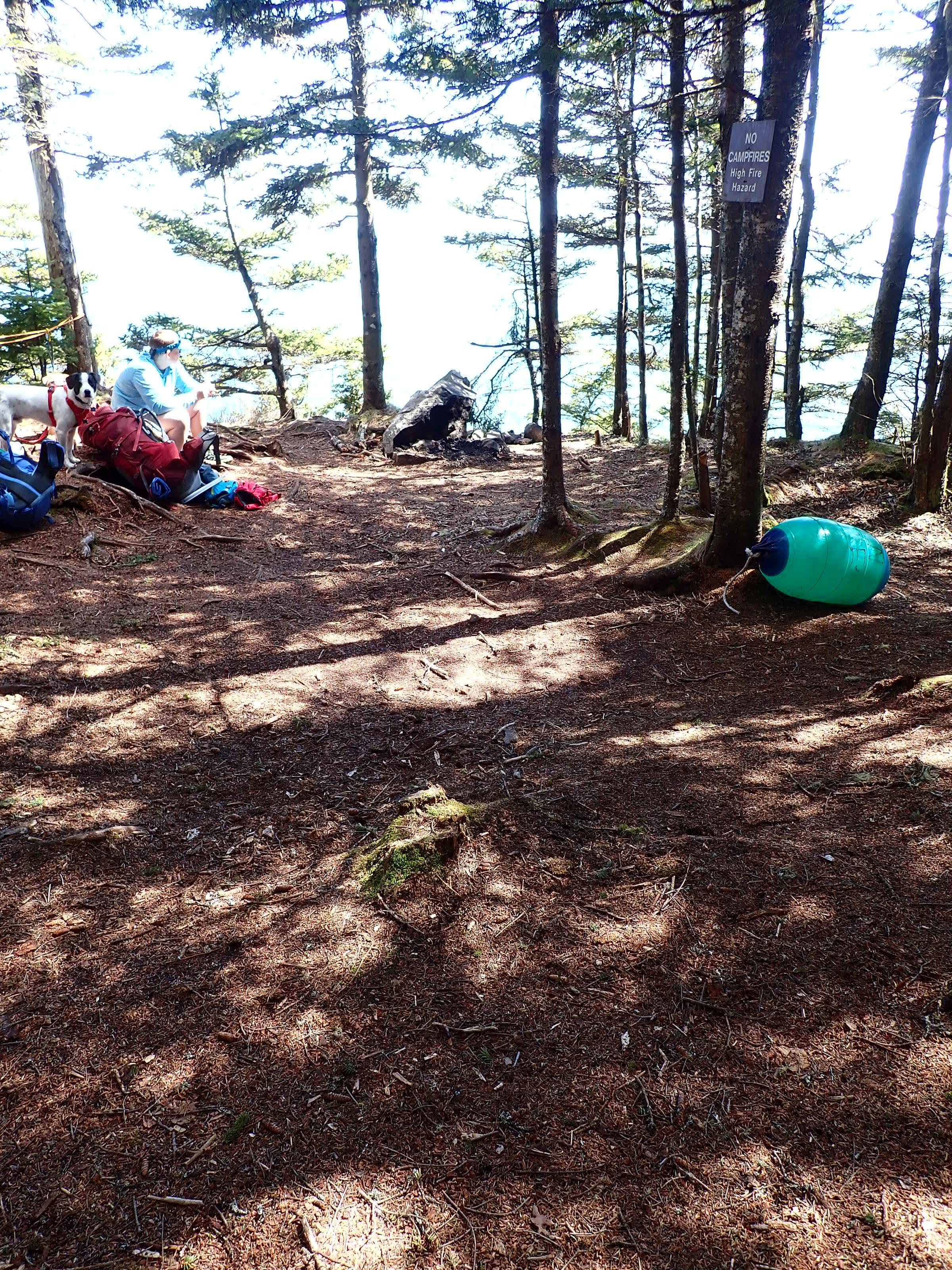 Camper submitted image from Fair Head- Cutler Coast - 5