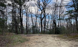 Camping near Beauty Spot Gap on Unaka Mountain: Pisgah National Forest Dispersed, Barnardsville, North Carolina