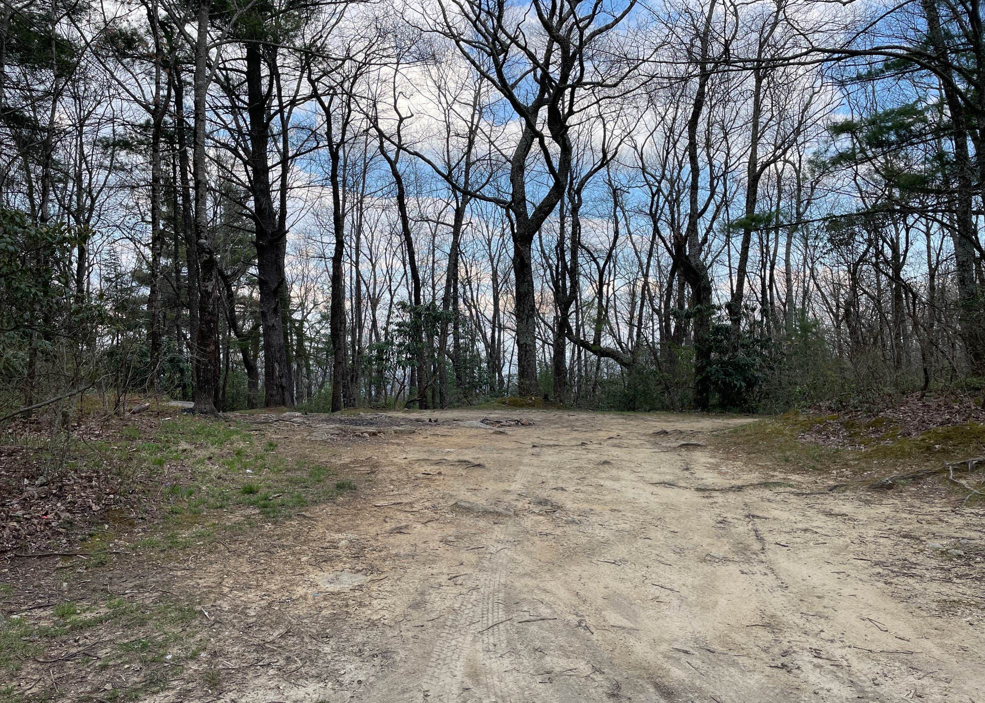 Pisgah National Forest Dispersed Camping The Dyrt