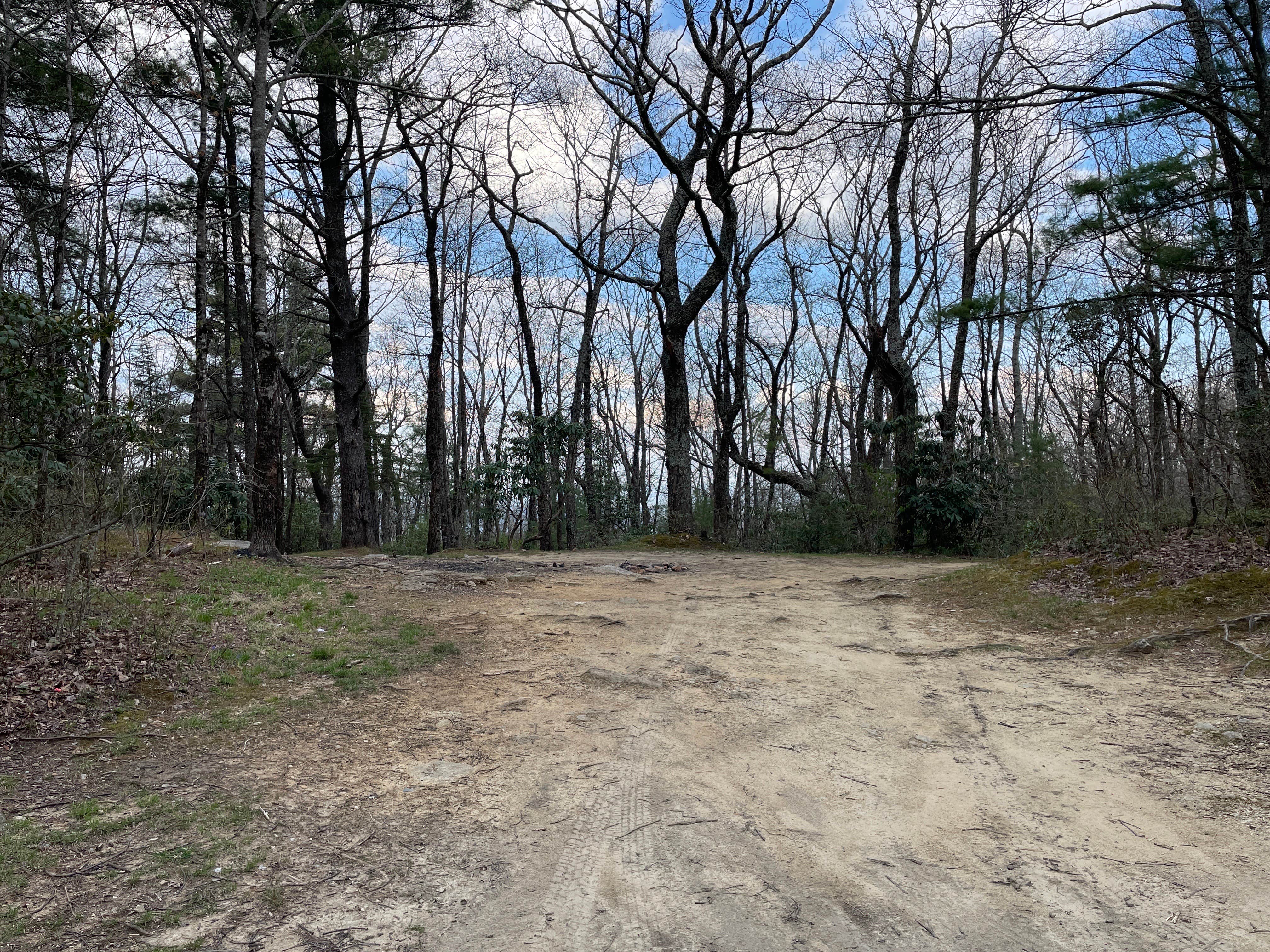 Camper submitted image from Pisgah National Forest Dispersed - 1