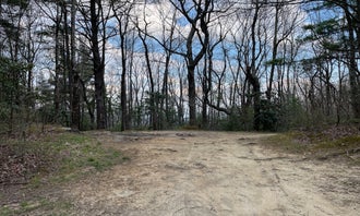 Camping near Maple Camp Bald: Pisgah National Forest Dispersed, Barnardsville, North Carolina