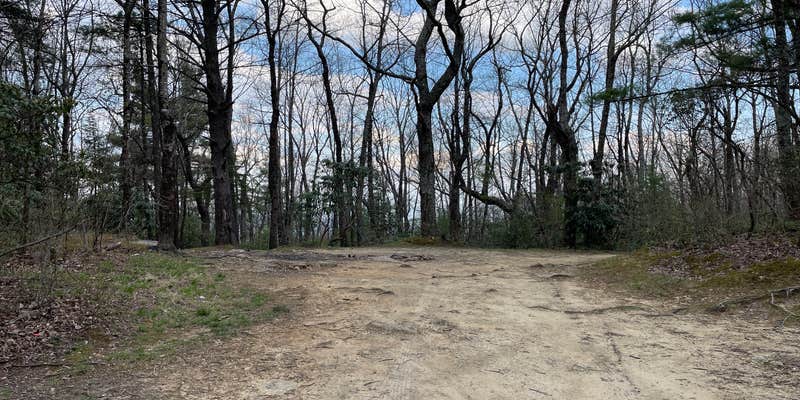 Camper submitted image from Pisgah National Forest Dispersed