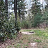 Review photo of Pisgah National Forest Dispersed by Timothy , April 22, 2021