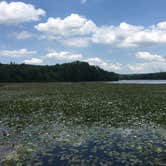 Review photo of French Creek State Park Campground by PhiladelphiaKaley R., June 1, 2018