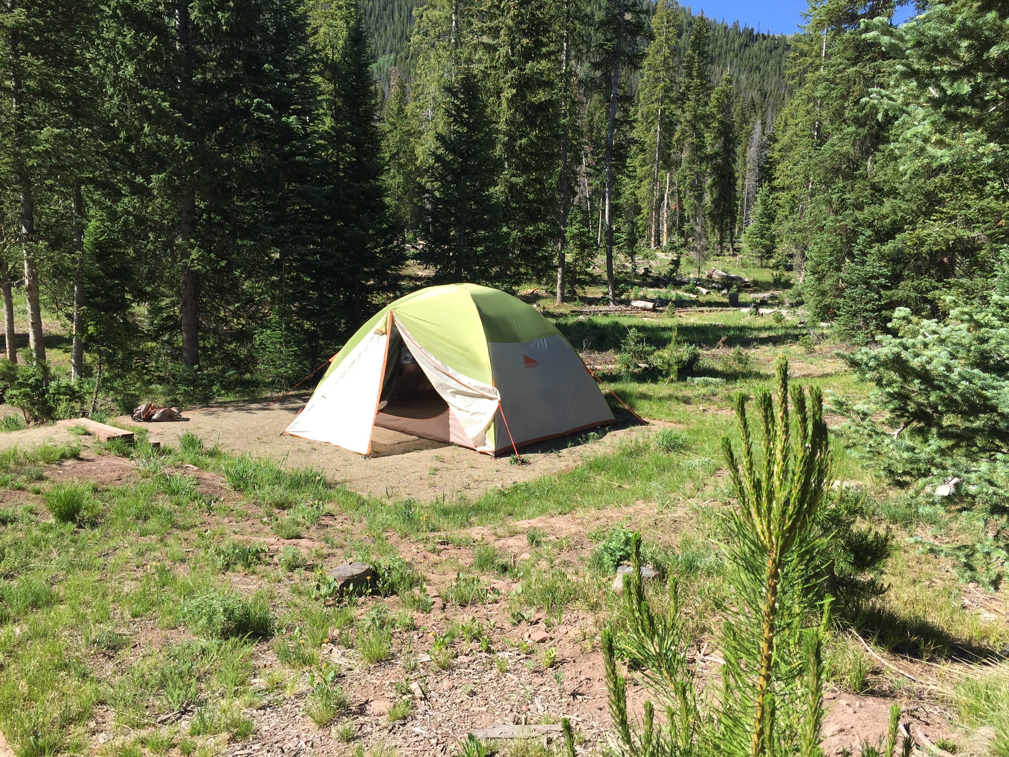 Camper submitted image from Routt National Forest Hahns Peak Lake Campground - 1