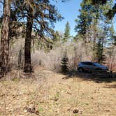 Review photo of Liberty Recreation Site by Michael J., April 23, 2021