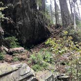 Review photo of North Fork Campground by Allie F., April 23, 2021
