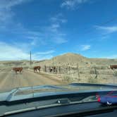 Review photo of Wedge Overlook by Michael , April 23, 2021