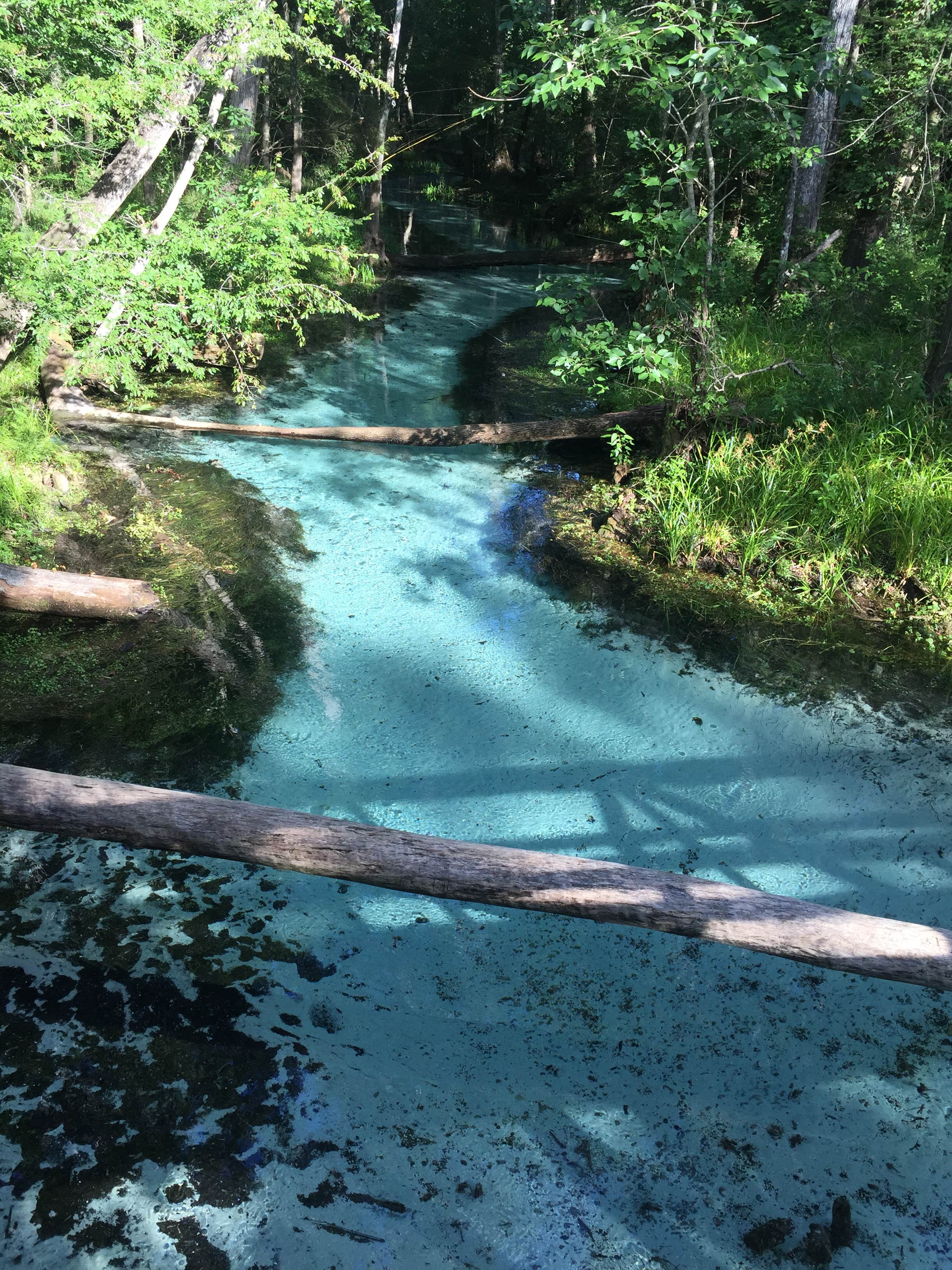 Camper submitted image from Ruth B. Kirby Gilchrist Blue Springs State Park Campground - 3