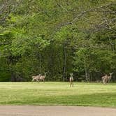 Review photo of Village Creek State Park Campground by MickandKarla W., April 23, 2021