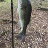 Review photo of COE Lake Barkley Canal Campground by Chris O., April 8, 2021