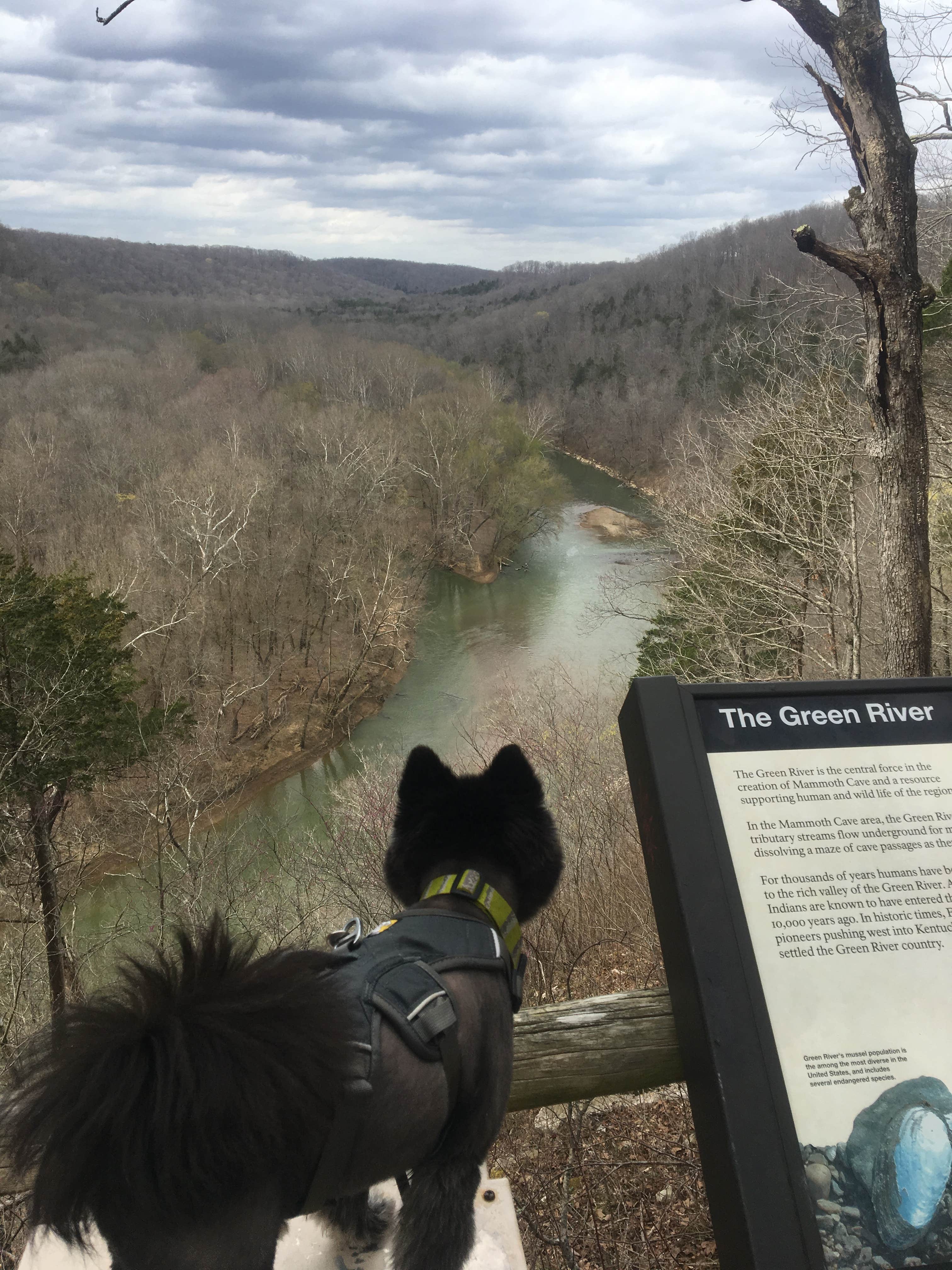 Shelly S.'s photo of camping with a horse at Mammoth Cave Campground — Mammoth Cave National Park near Horse Cave, KY
