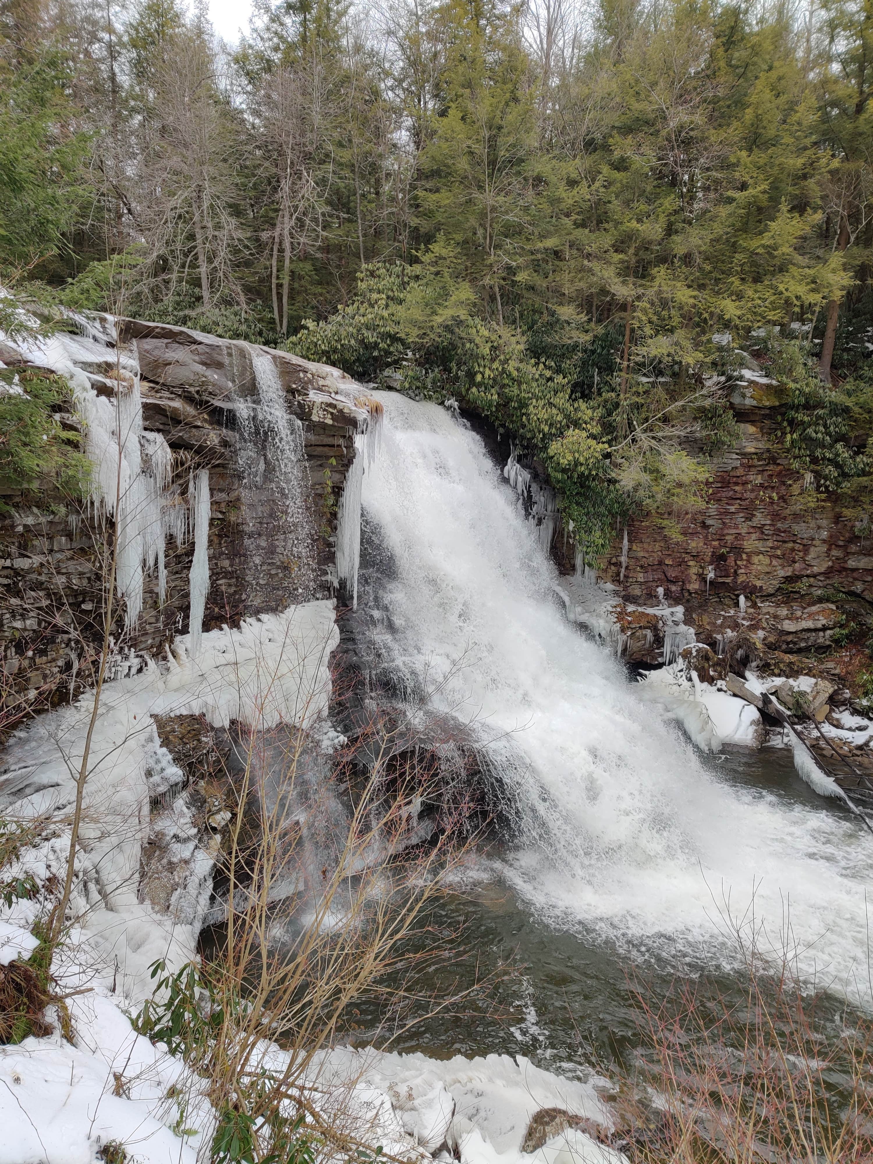 Swallow Falls The Dyrt