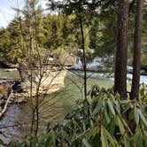 Review photo of Swallow Falls State Park Campground by Kasumi , April 23, 2021