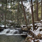 Review photo of Swallow Falls State Park Campground by Kasumi , April 23, 2021