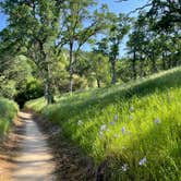 Review photo of USBR Gloryhole Rec Area Big Oak Campground by Lori T., April 6, 2021