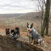 Review photo of Mammoth Cave Campground — Mammoth Cave National Park by Shelly S., June 1, 2018