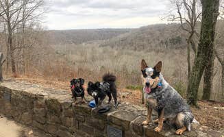 Shelly S.'s photo of camping with pets at Mammoth Cave Campground — Mammoth Cave National Park near Glasgow, KY